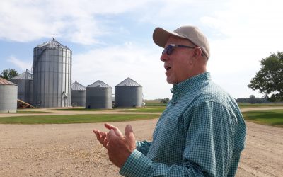 Minnesota farms battle with record-low profitability